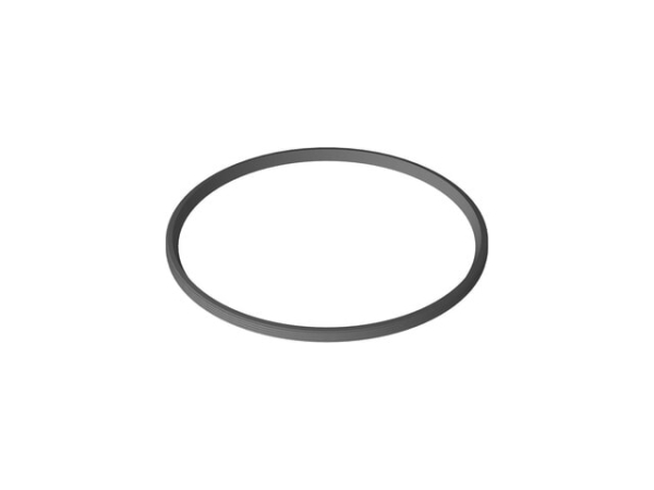 Buderus Lippendichtung DN250 für Abgassysteme, kompatibel mit Centrotherm Systemtechnik 8737716946
