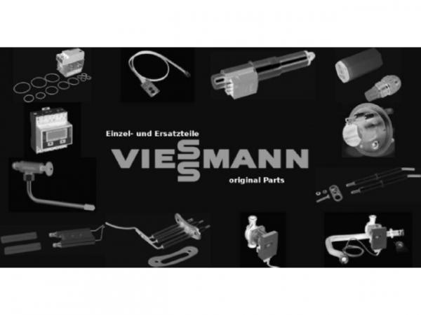 Viessmann Sicherung T 0,16A / 250V 7404358