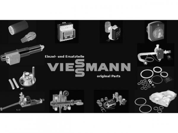 VIESSMANN Sicherung T2AH mit Aufkleber