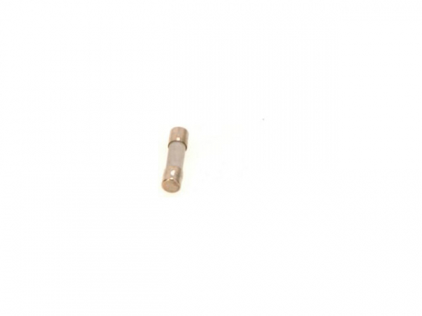 Buderus 7098442 Sicherung 2,5 Ampere,a 10Stück