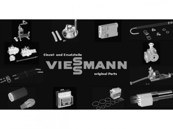 VIESSMANN 7830168 Edelstahlrohrbürsten f. D=101,6