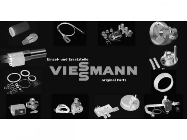 Viessmann Trockensiphon 7868433