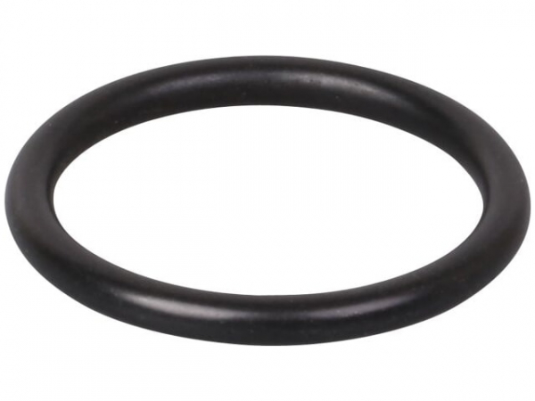 O-Ring Flansch Gas-Wellrohr 21,89 x 2,62 mm