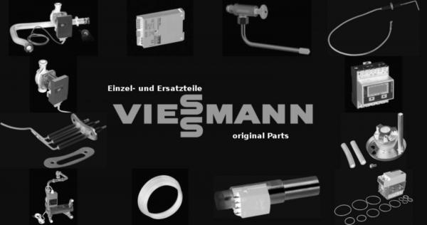 VIESSMANN 7837683 Ion-Leitung 11/Erde