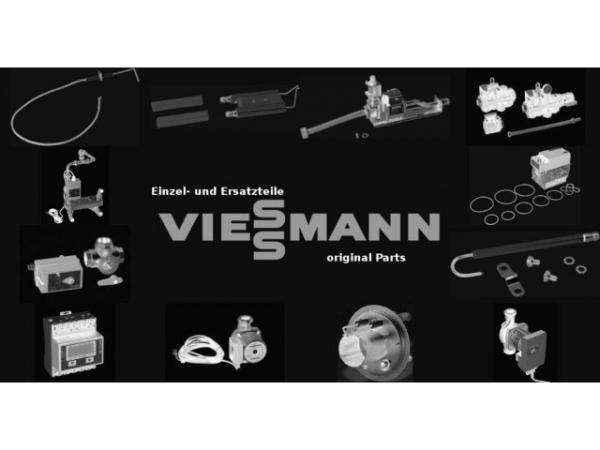 VIESSMANN 7830190 Reparaturbürste f. D=44,5