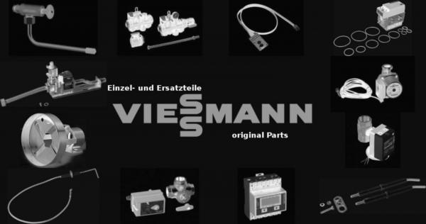 VIESSMANN 7827728 Knopf (V komplett)