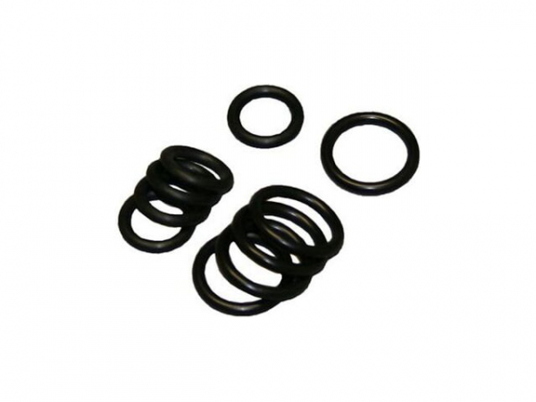 Buderus 7099018 O-Ring Set Gasdüse