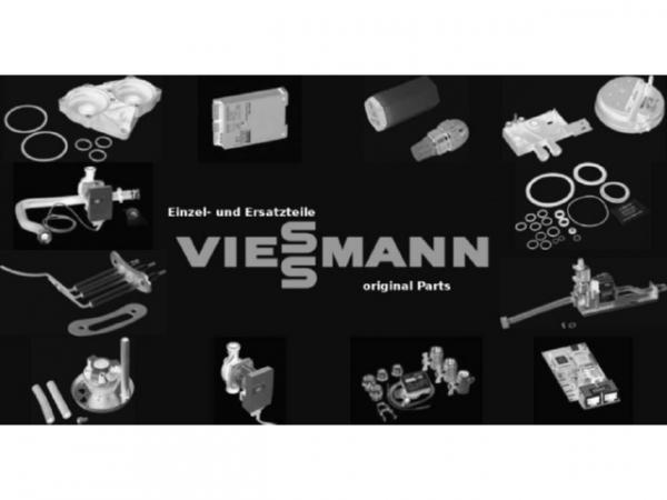 Viessmann Matte Aussenmantel II 5138555