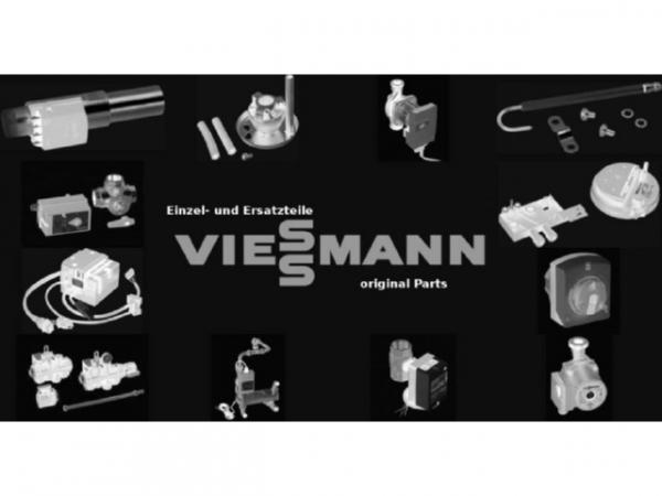 Viessmann Isolator O-Ring 7867459