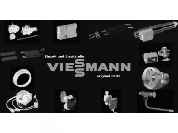 Viessmann Drehknopf 7819038