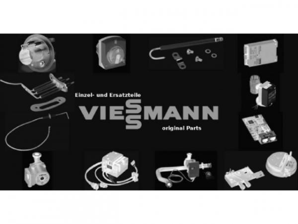 Viessmann Klappenscharniere 7867443