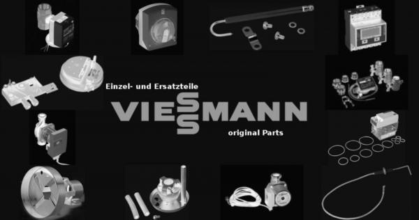 VIESSMANN 7820449 Aschetür