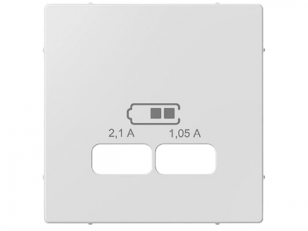 Zentralplatte für USB Ladestation Einsatz, aktivweiß glänzend