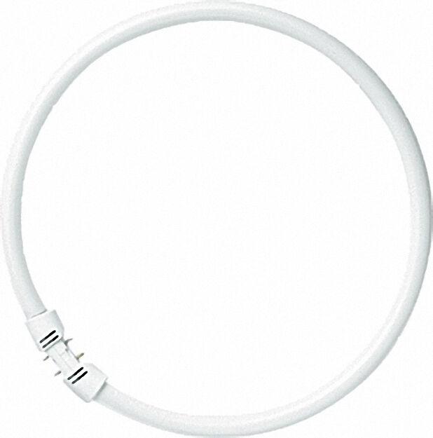 Energiesparlampe LUMILUX T5 für Sockel 2Gx13 22W/840 Cool White Energiesparlampe LUMILUX T5 für Sockel 2Gx13 22W/840 Cool White