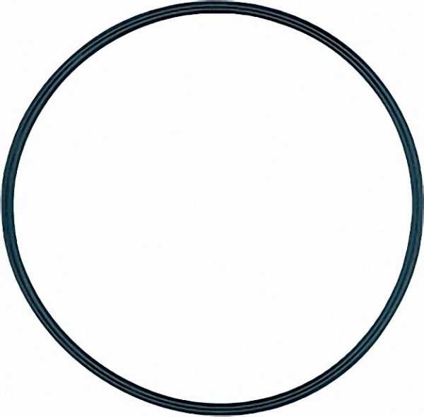 O-Ring Durchmesser 54,0x 3,0mm