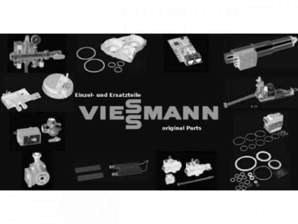 Viessmann Beimischung DN40 7813632