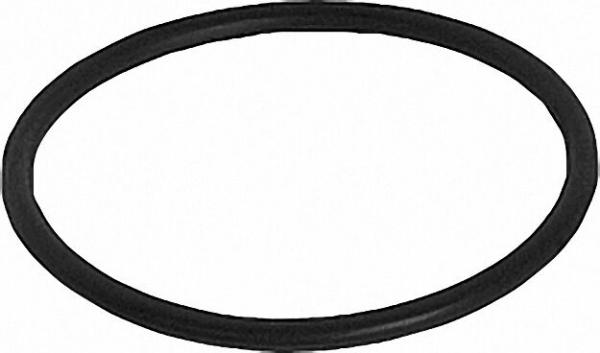 O-Ring, passend für Oventrop, Afriso, WS-Filter 54 x 3mm