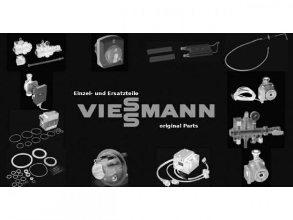 Viessmann Dichtring EPDM (<120°C) ew/dw200 7568895