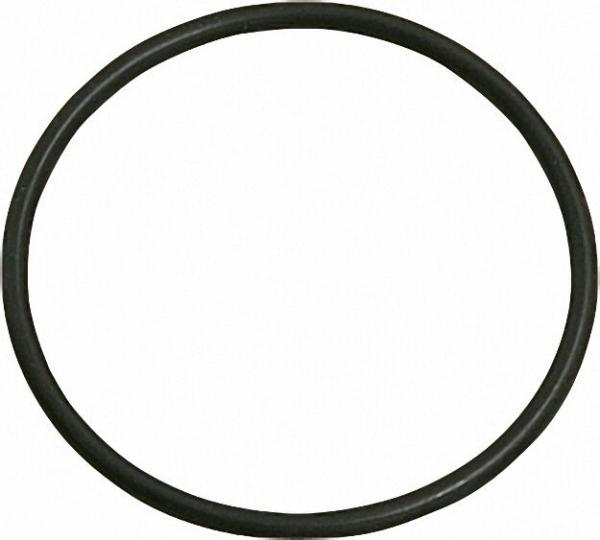BRIGON Ersatzteil -CO2-Indikator Nutringdichtung Typ 8306