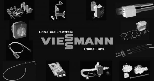 VIESSMANN 7832500 Revisionstür