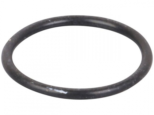 O-Ring 28 x 2,5 mm Siphon