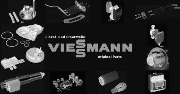 VIESSMANN 7323581 Reinigungsbürste D=51-M10 Griff + Verl.