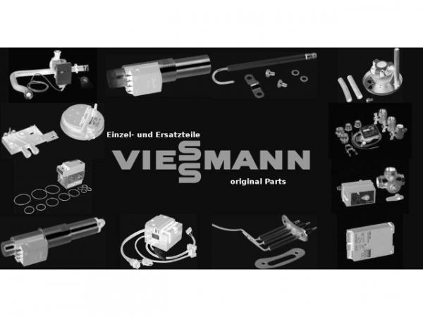 VIESSMANN Sicherheitseinrichtung