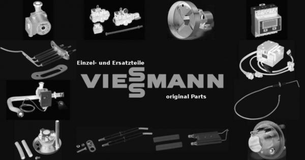 VIESSMANN 7844200 Leitung Prozesspumpe 172 HT