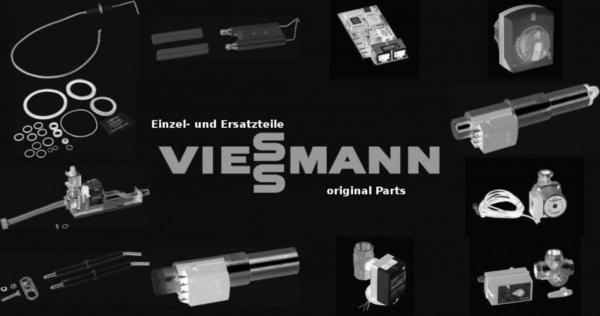 VIESSMANN 7830462 Dichtschraube R1