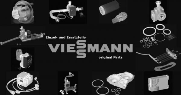 VIESSMANN 7830950 D-Sicherung 20A DO2 gL-gG