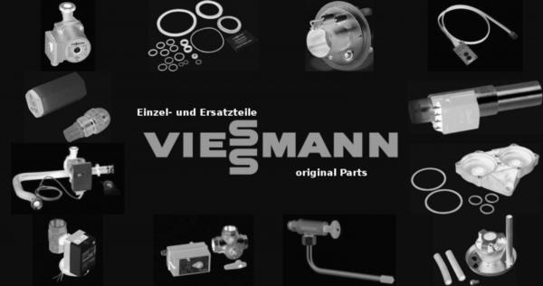 VIESSMANN 7833613 Federbürste