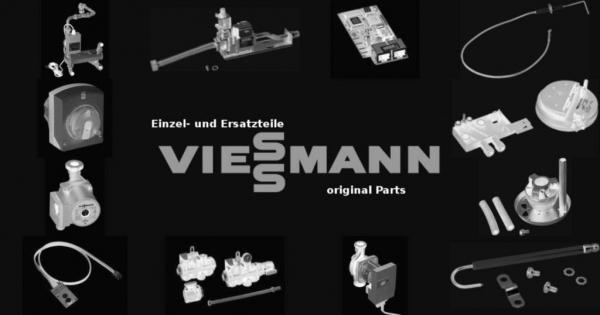 VIESSMANN 7841904 LAN-Kupplung mit Kabel 2m