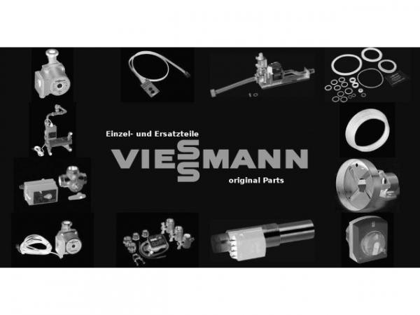 VIESSMANN 9038000 Mikroschalter