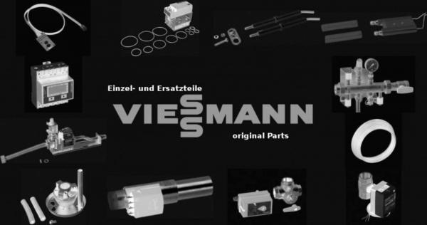 VIESSMANN 7273134 Ionisations-Meßleitung
