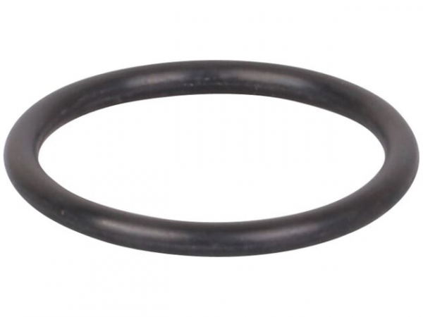 O-Ring 19 x 2 mm Gasdüse/Gasarmatur