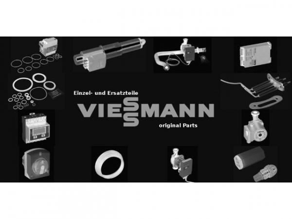 VIESSMANN 7054428 Reinigungstür rechts