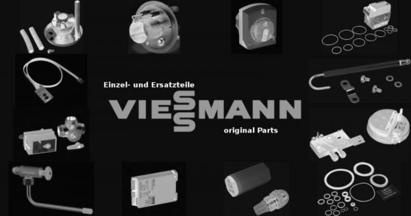 VIESSMANN 7832876 Lichtleiter