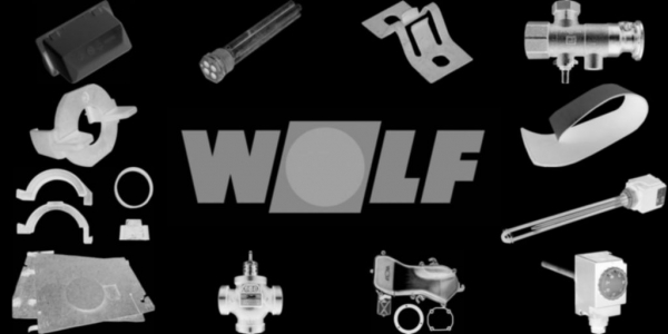 WOLF 2483809 Aschentür komplett