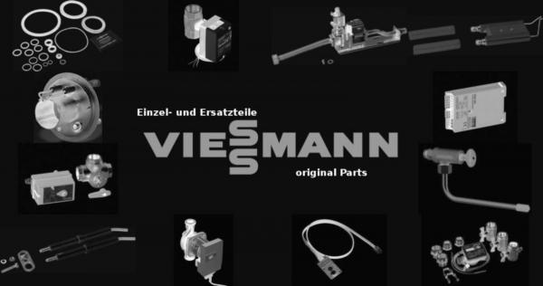 VIESSMANN 7830236 Revisionstür