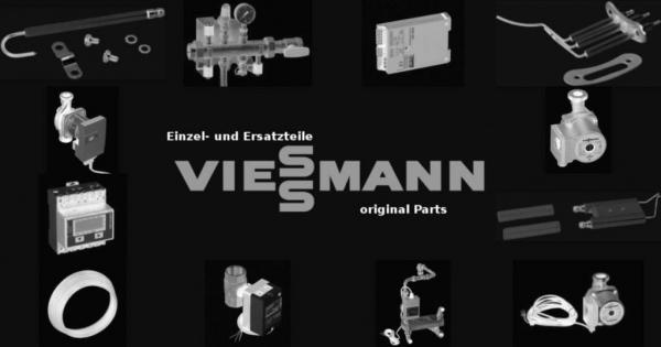 VIESSMANN 5142678 Reinigungsbürste D=30/20x80 - M10 mit Gewindemuffe M 10