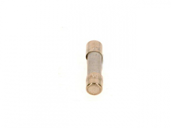 Buderus 8738803397 Sicherung 10A (10x) everp