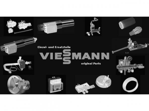 VIESSMANN Doppelnippel R2 x R3