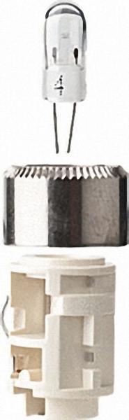 Glühlampe für 4 C-/D-Cell, Wh/Star 2er Pack
