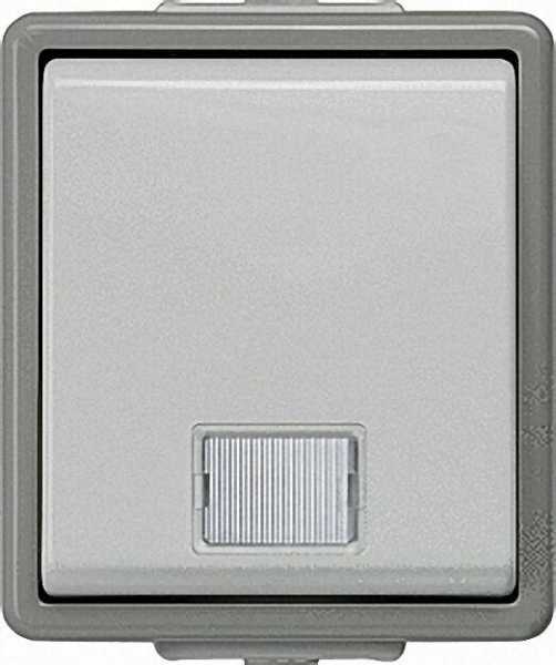 Aufputz-Kontrollschalter für Ausschaltung mit Fenster 75mm x 66mm x 54mm/ IP44/1 Stück