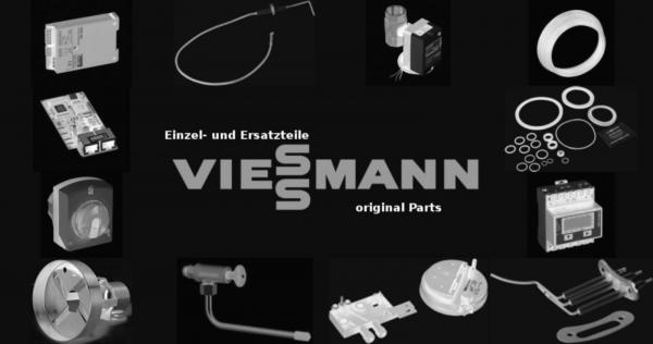 VIESSMANN 7824873 Ascheblech