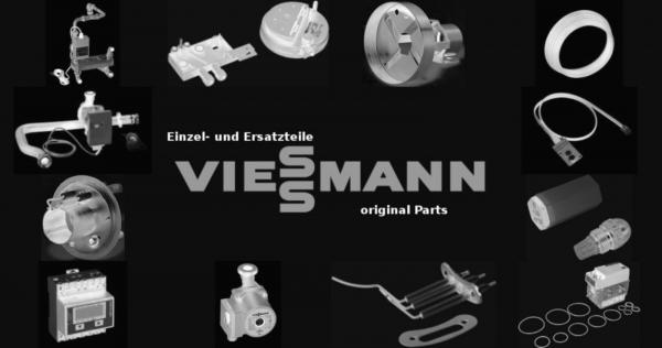 VIESSMANN 7324510 Reinigungsgeräte Paromat-Simpl.