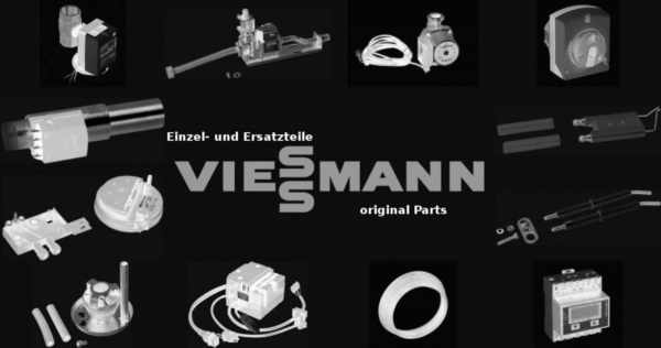 VIESSMANN 7837976 Befestigung Schrauben Inox