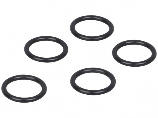 O-Ring 17,86x2,62 mm VPE 5 Stück