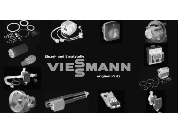 VIESSMANN Brennertür