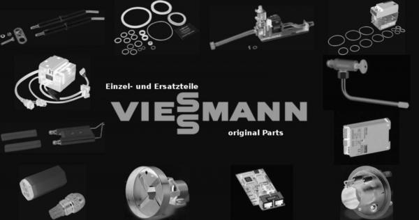 VIESSMANN 7825473 Ion-Ltg. mit Winkel Stückl=300 doppelt isol